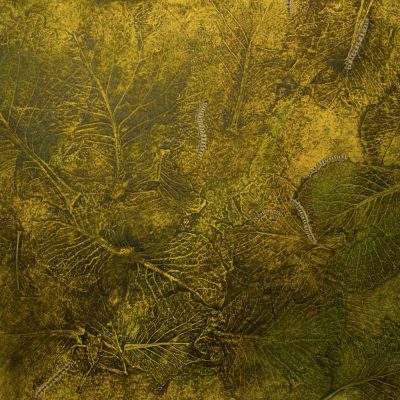 Cabbages Caterpliers