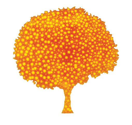 Orange Trees cut-out